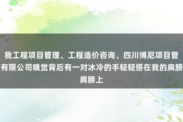 我工程项目管理、工程造价咨询、四川博尼项目管理有限公司嗅觉背后有一对冰冷的手轻轻搭在我的肩膀上