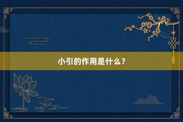 小引的作用是什么？