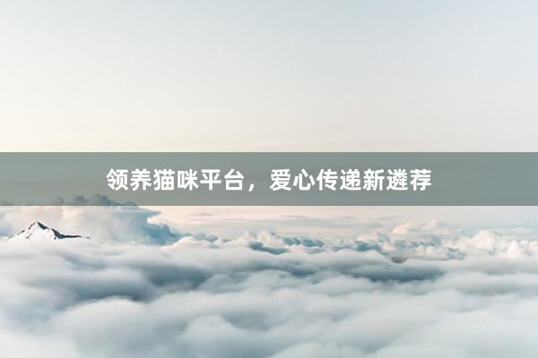 领养猫咪平台，爱心传递新遴荐